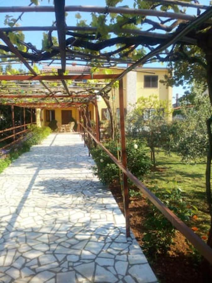 App Anita Apartment Premantura Luaran gambar